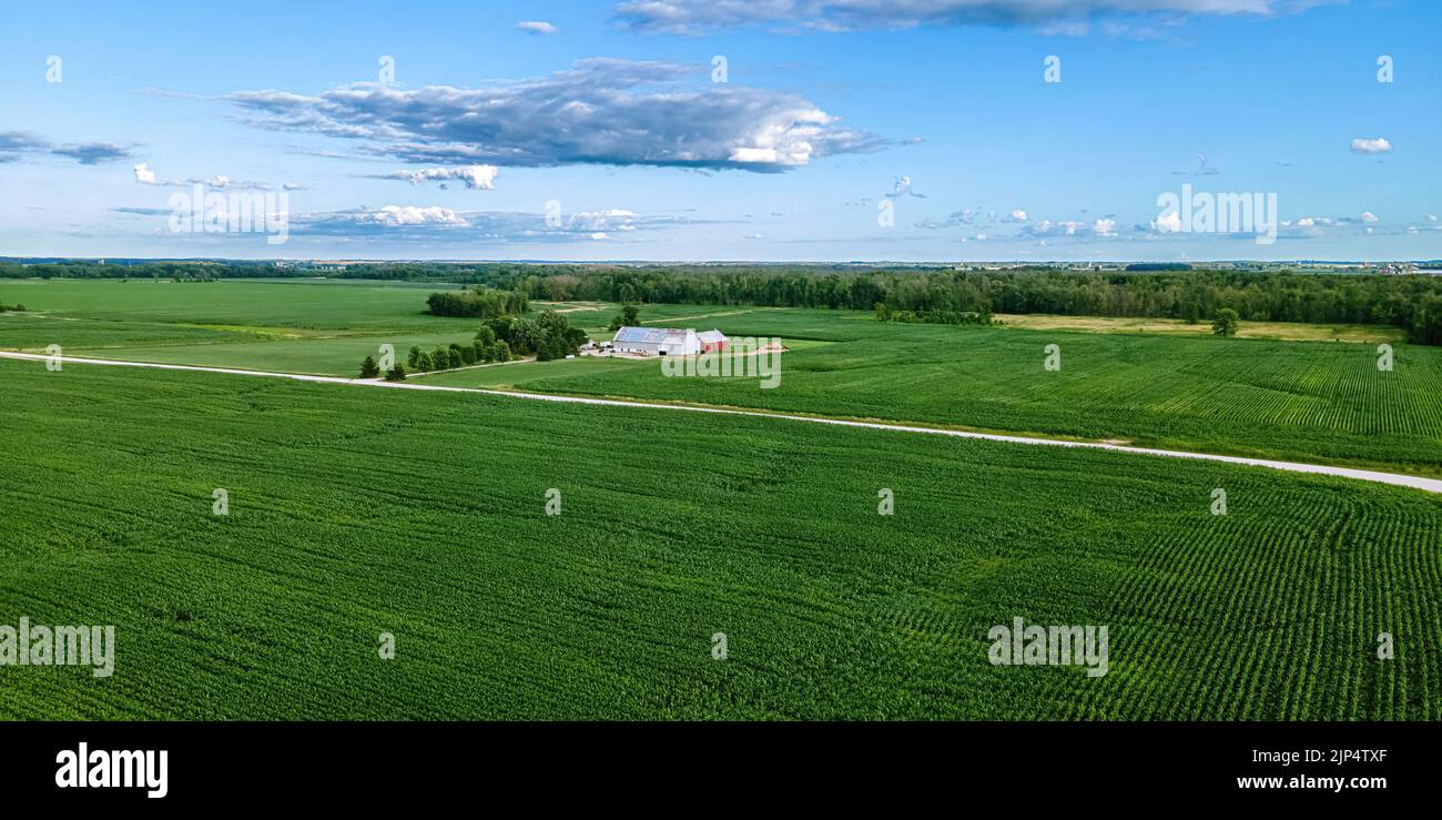 A summer view of a rural road with country farm and forest border in ...