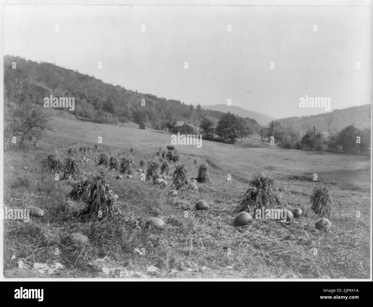 The harvest season Stock Photo Alamy