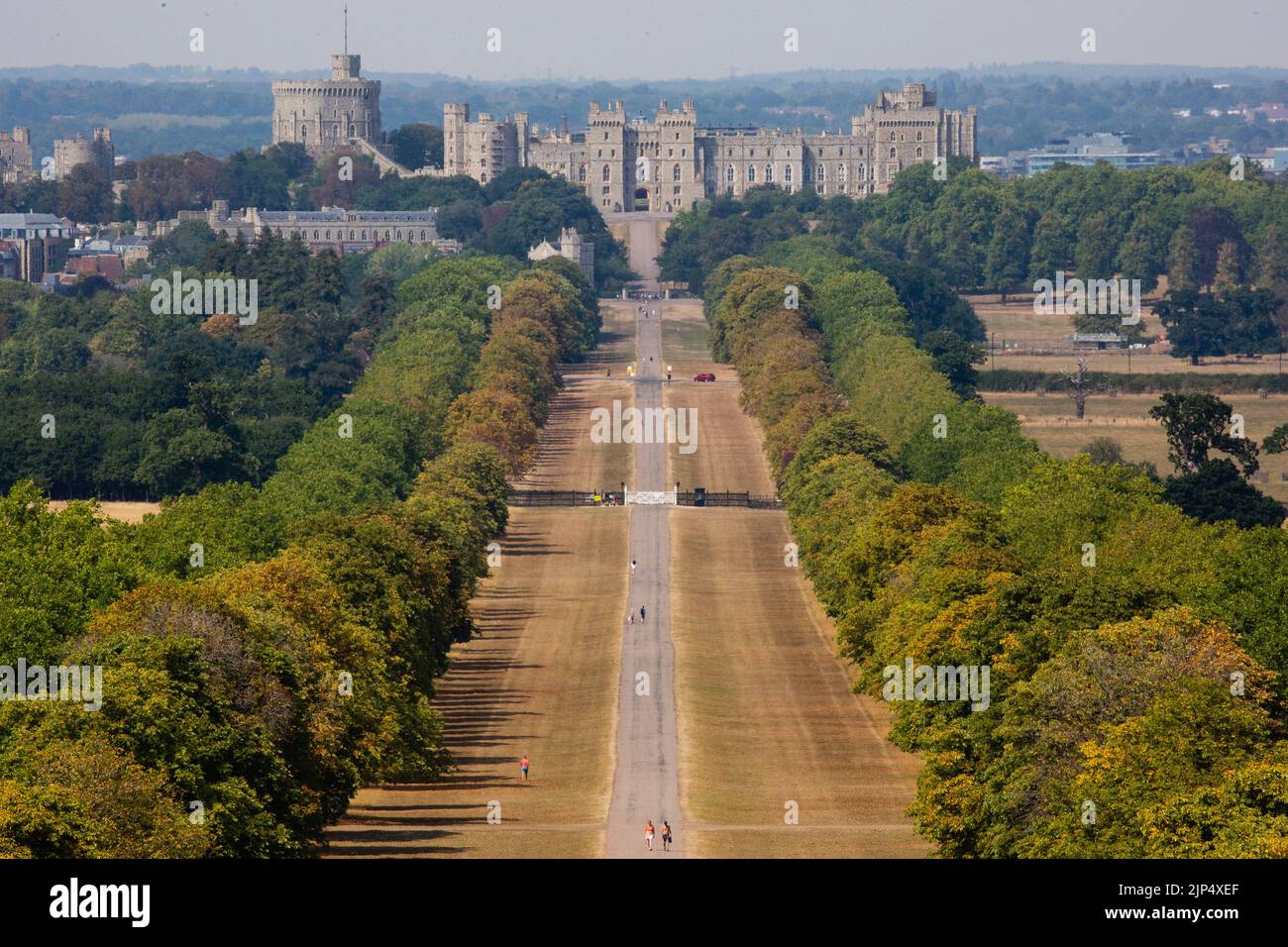 Windsor, UK. 15th August, 2022. Sun-bleached grass is pictured alongside the Long Walk from Snow Hill with Windsor Castle in the distance. Five months of below average rainfall combined with extreme heat due to climate change has caused record-breaking droughts in parts of southern and central England. Credit: Mark Kerrison/Alamy Live News Stock Photo
