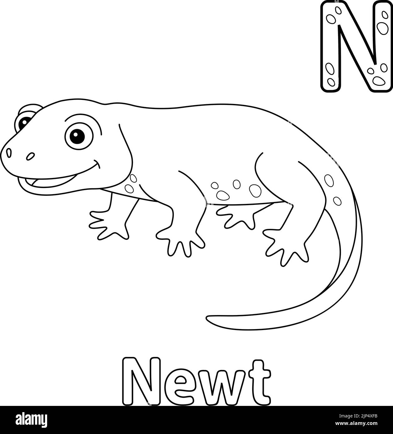 Illustration of newt hi-res stock photography and images - Alamy