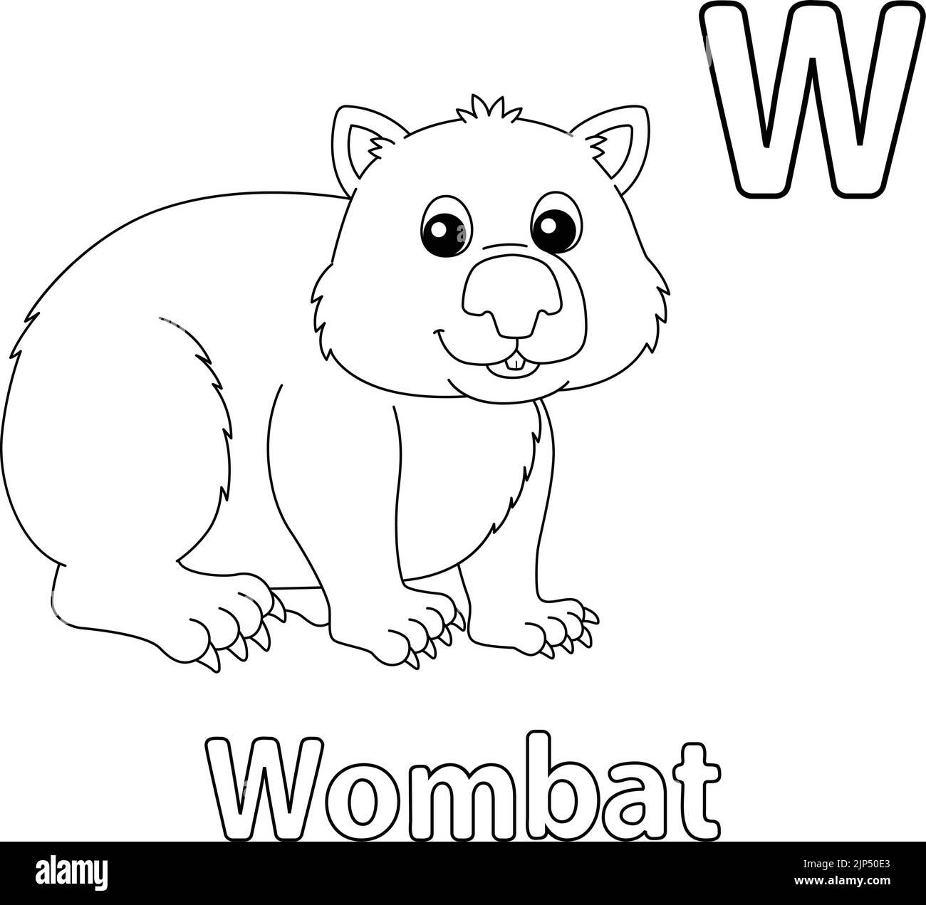 W is for wombat stock vector images alamy