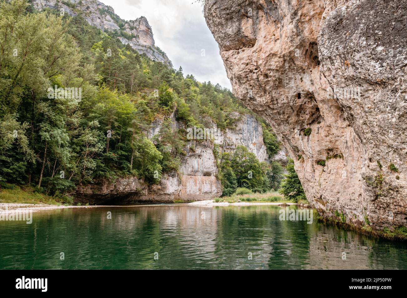 Cliffs and forest, Gorges du Tarn, Lozere, France Stock Photo