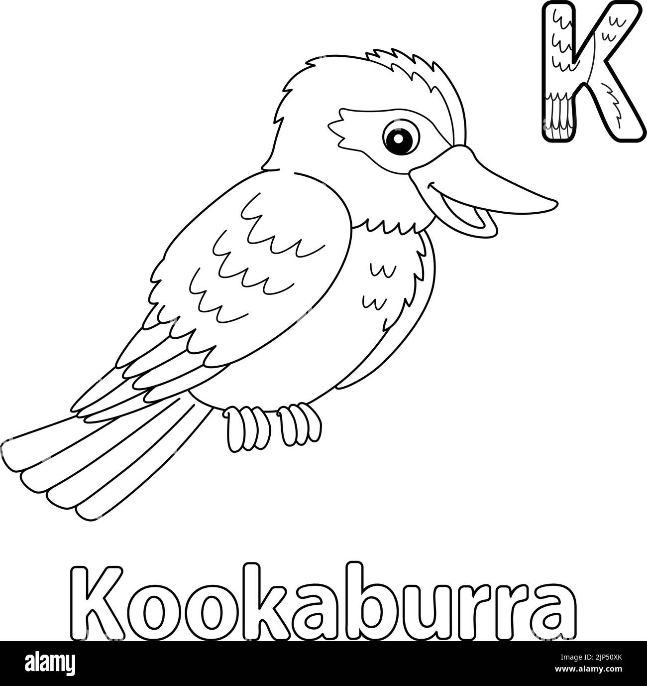 Kookaburra Alphabet ABC Coloring Page K Stock Vector
