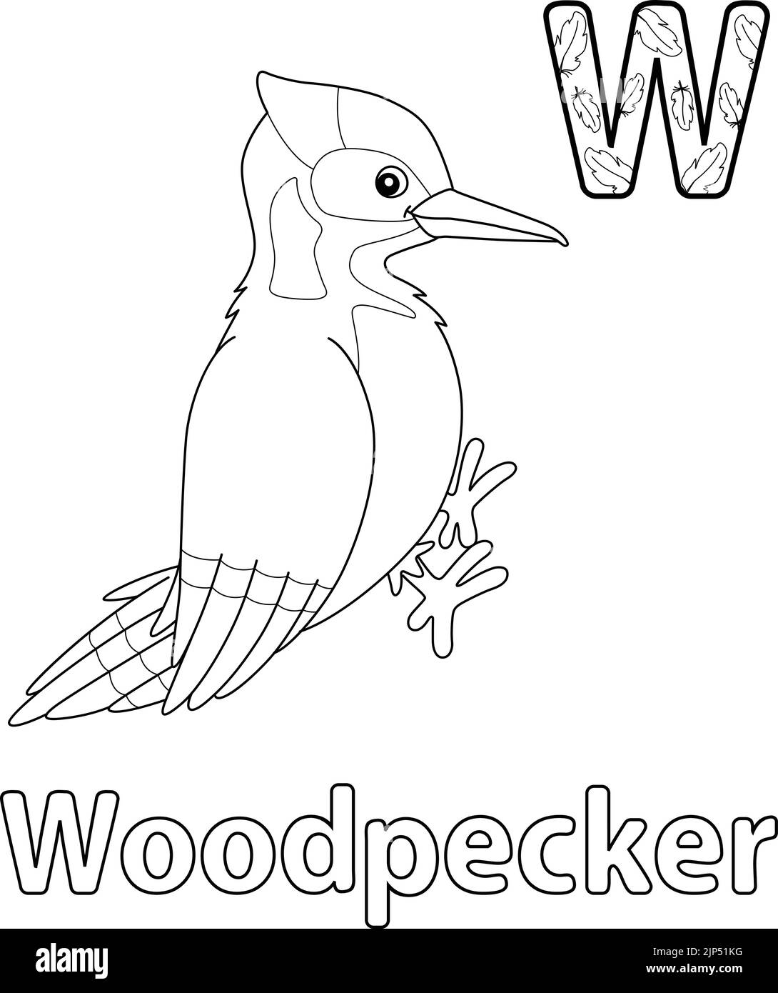 Woodpecker Alphabet ABC Coloring Page W Stock Vector