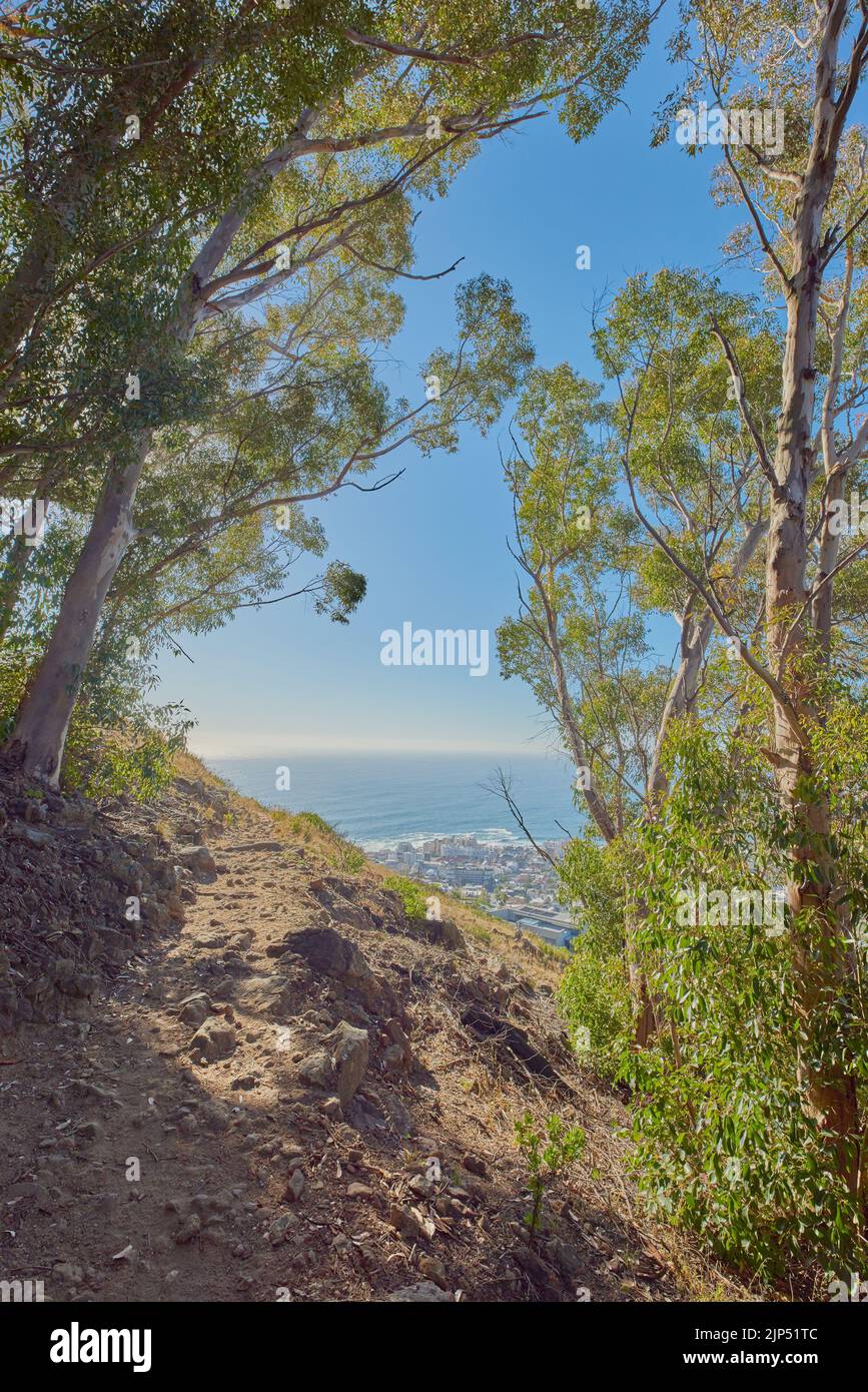 Lions Head. A photo form Lions Head, Table Mountain National Park, Cape