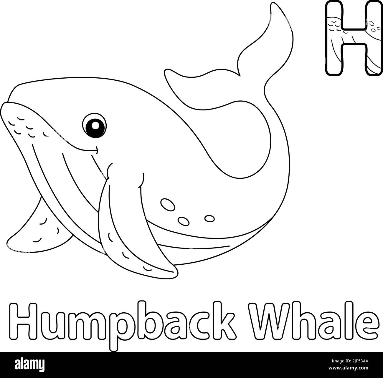 Humpback Whale Alphabet ABC Coloring Page H Stock Vector