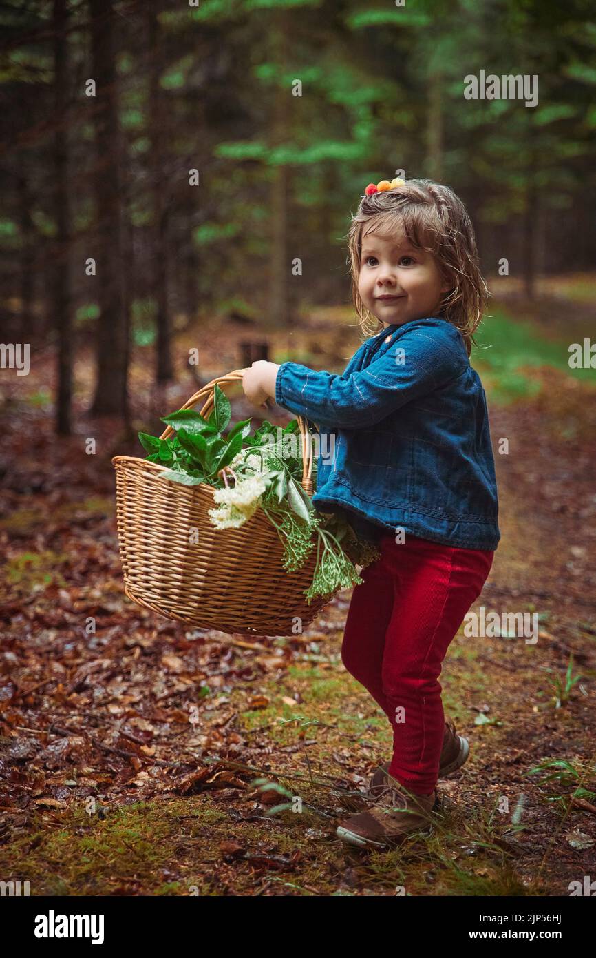 charming baby collects medicinal herbs in the forest Stock Photo