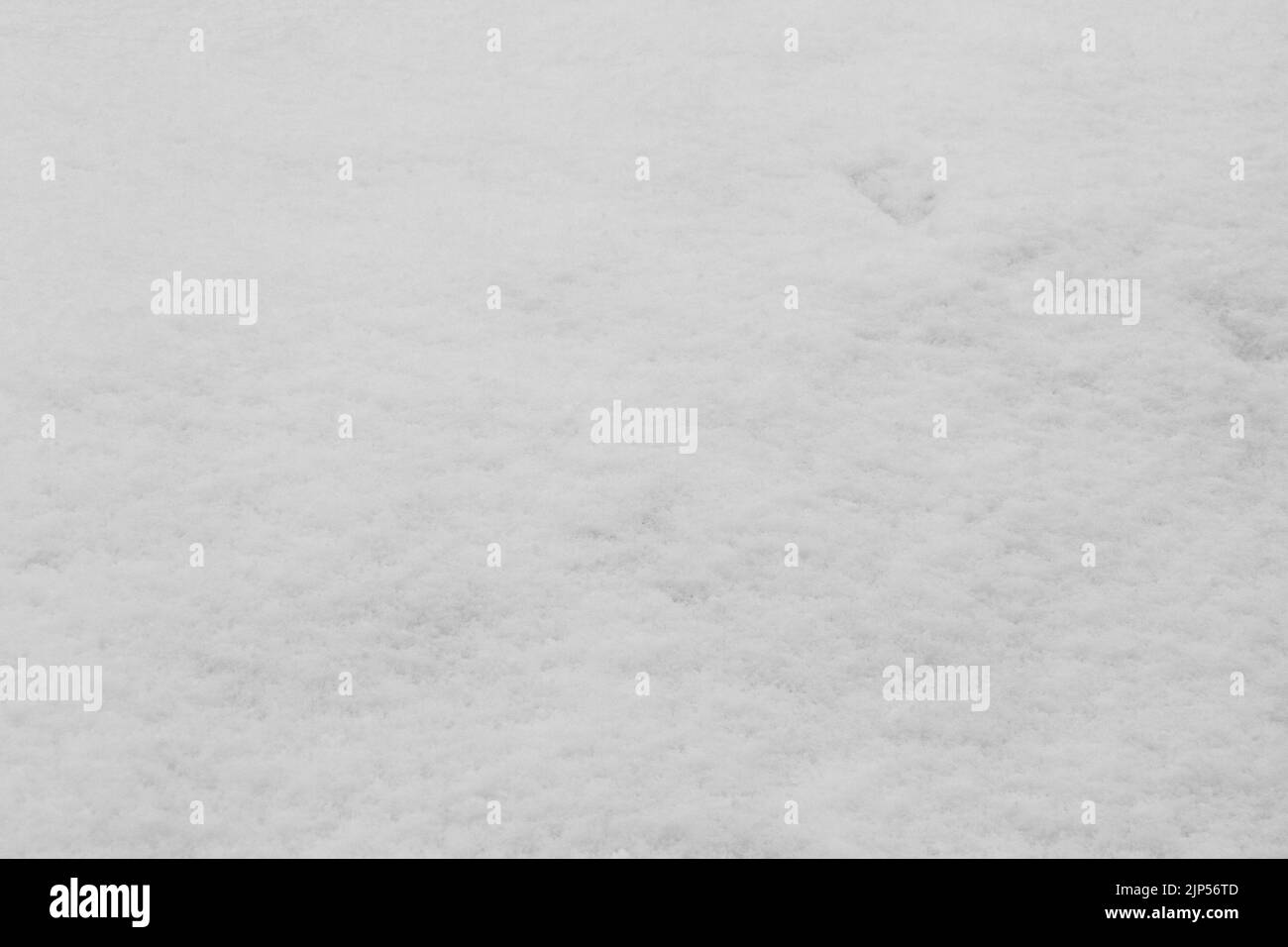 White background. The texture of the surface of the snow. Fresh Snow