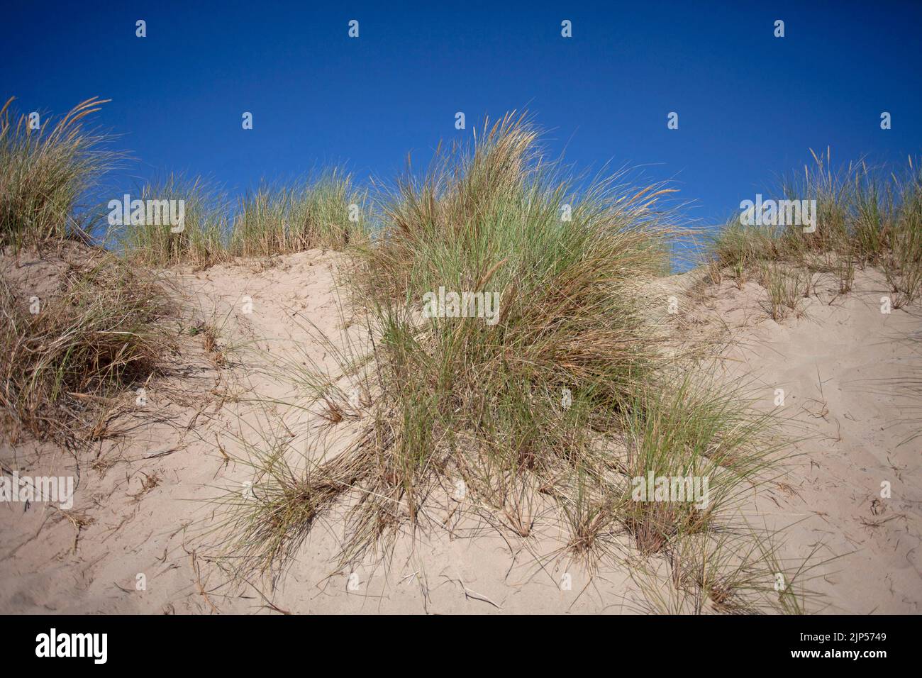 Sandunes at Rock Beach. Cornwall, England Stock Photo