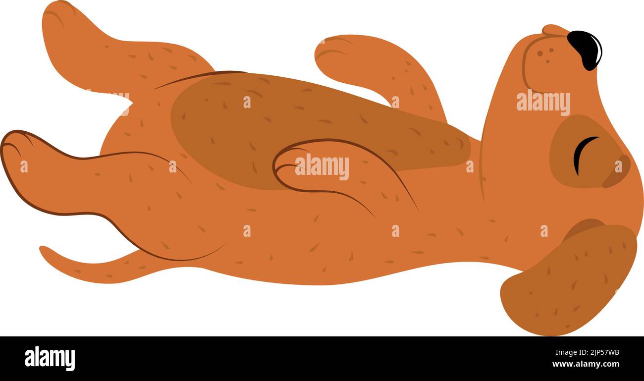 cute dog lying floor Stock Vector Image & Art - Alamy