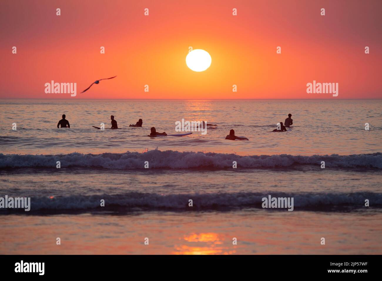 Surfers waiting for waves at sunset. Polzeath beach. Cornwall, England Stock Photo