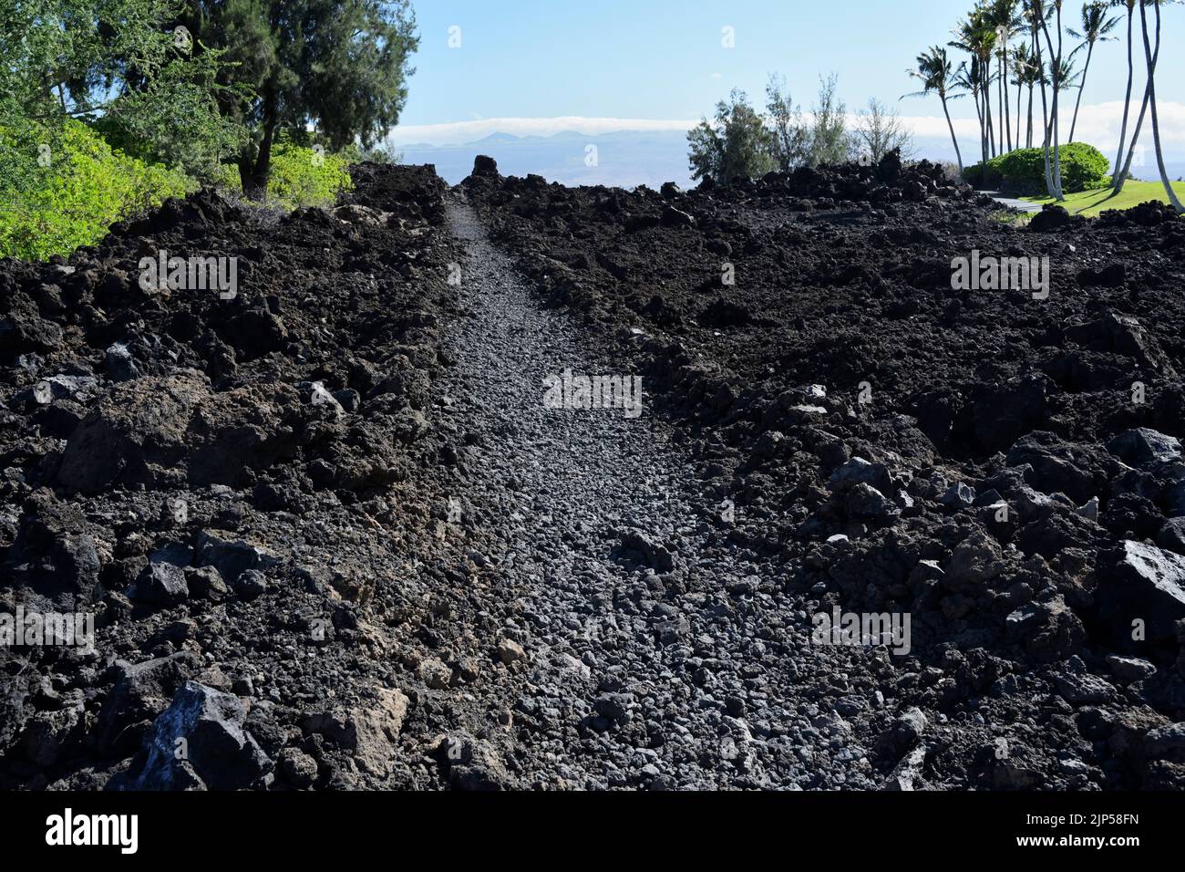 Foot path, the Ala Loa or Long Trail, used by ancient Hawaiians, Big Island north coast Stock Photo