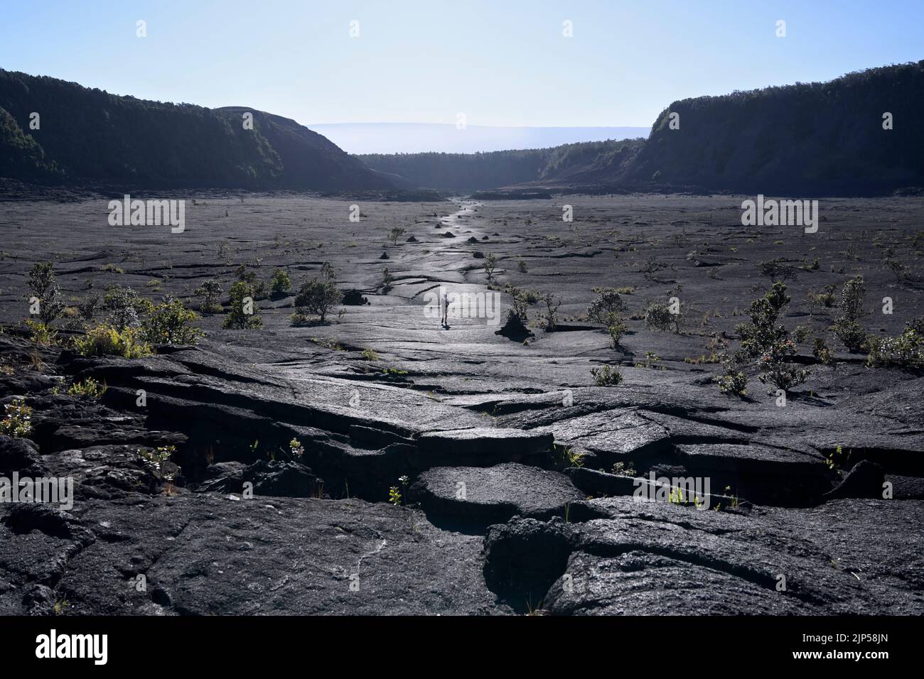 Kilauea Iki crater hiking trail, Hawaii Volcanoes National Park Stock Photo