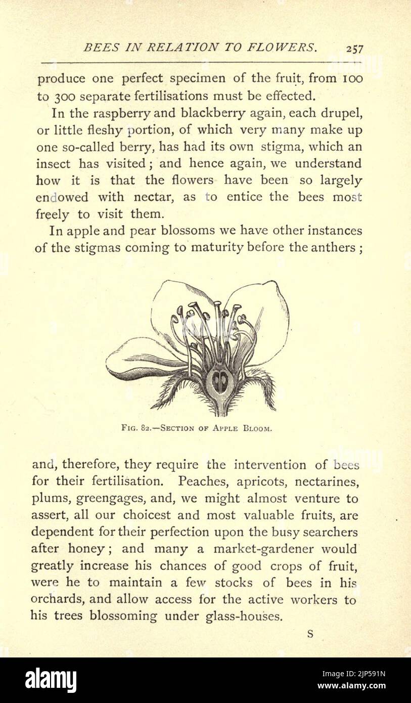 Page257