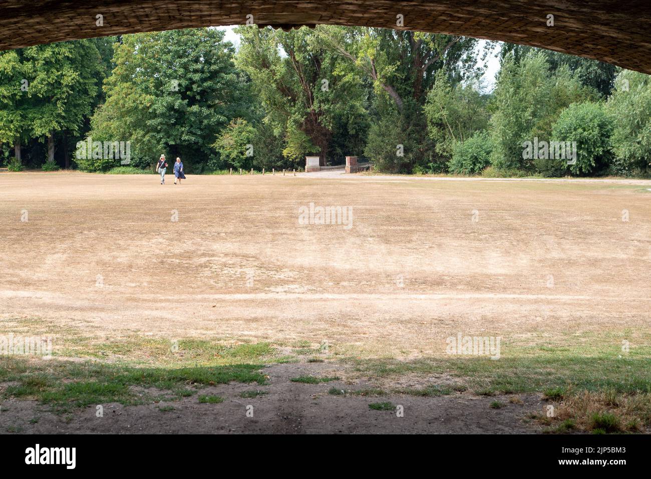 Eton, Windsor, Berkshire, UK. 15th August, 2022. In common with much of the UK, the heatwave and drought take their toll on the grounds of the public school, Eton College. Much needed rain is forecast for the week ahead and the South East is now officially in a drought. Credit: Maureen McLean/Alamy Live News Stock Photo