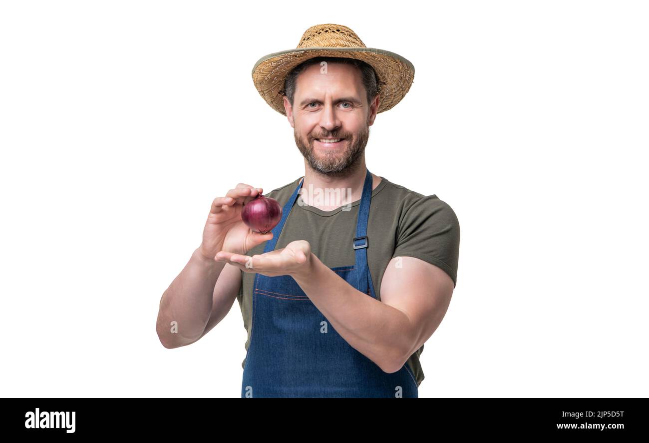 man in apron and hat presenting onion vegetable isolated on white Stock