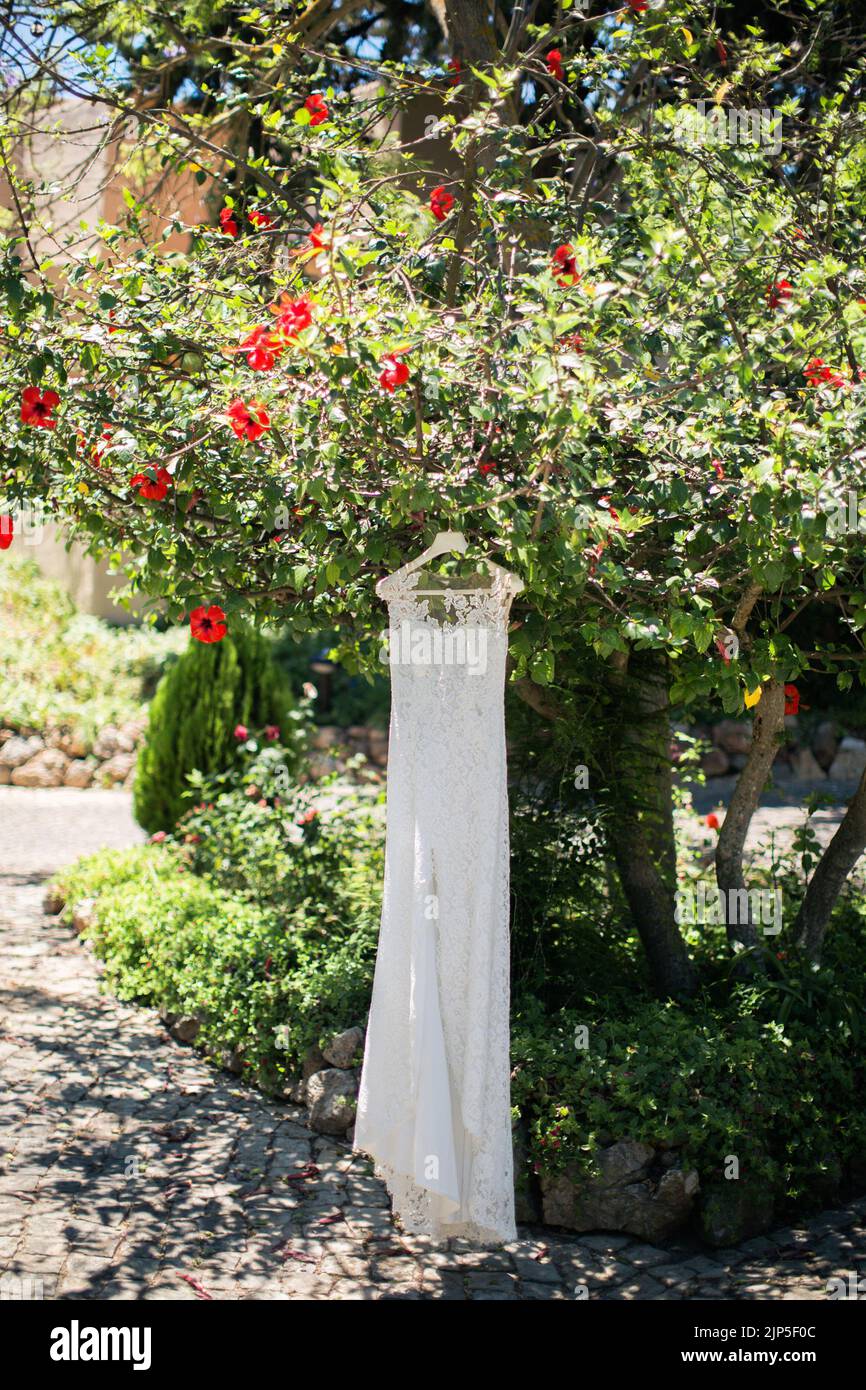 Wedding dress hanging on a tree with flowers. Stock Photo