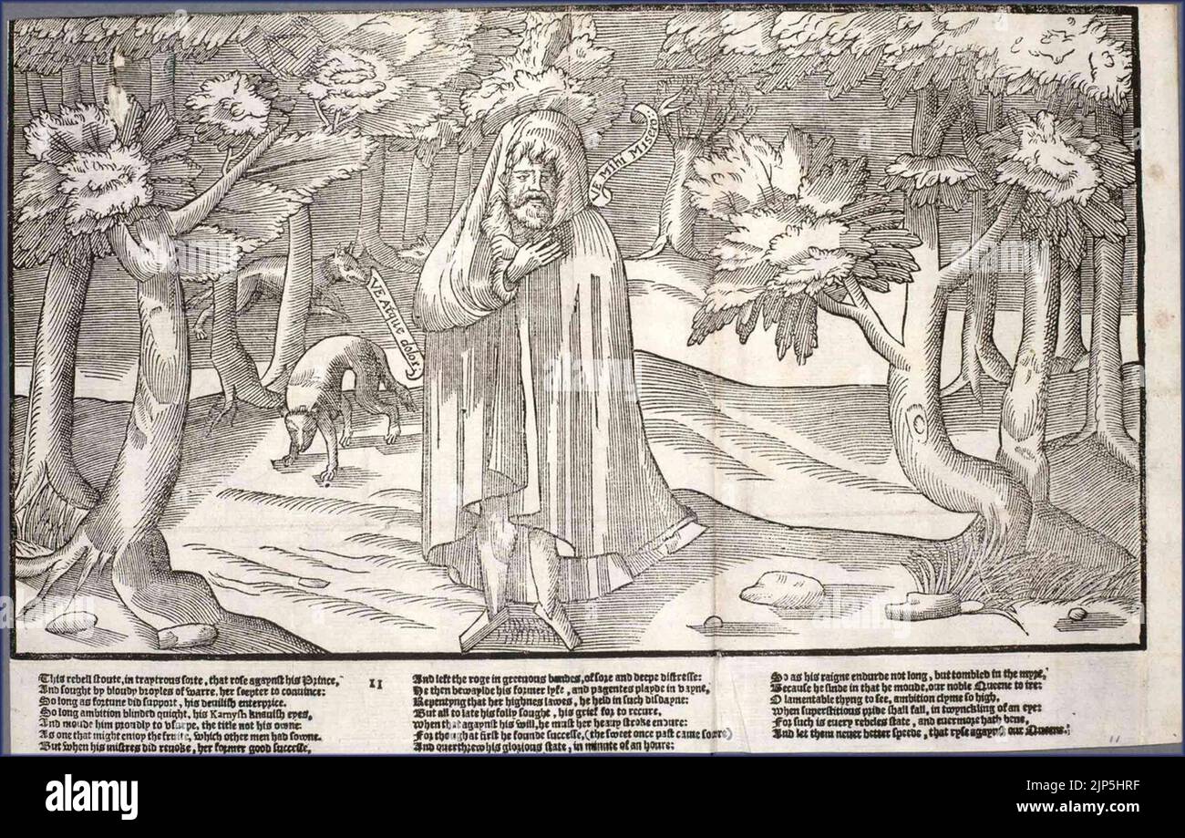 The Image of Irelande plate11 Stock Photo Alamy