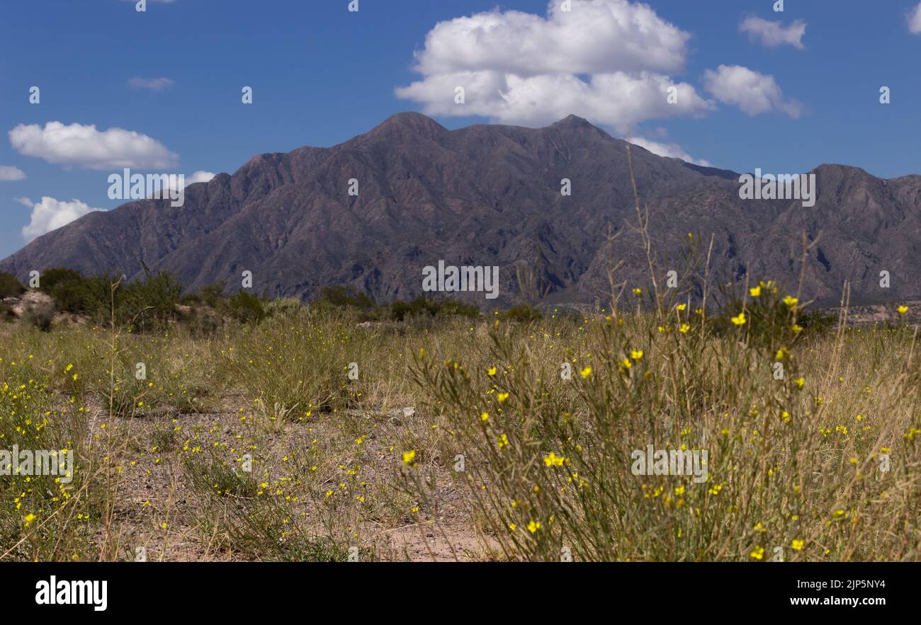 Beautiful scenery person hi-res stock photography and images - Alamy