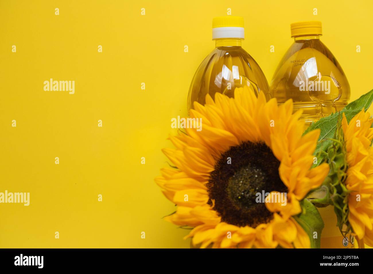 Sunflower oil. Oil bottles and sunflowers blooming on a yellow farm sunflower