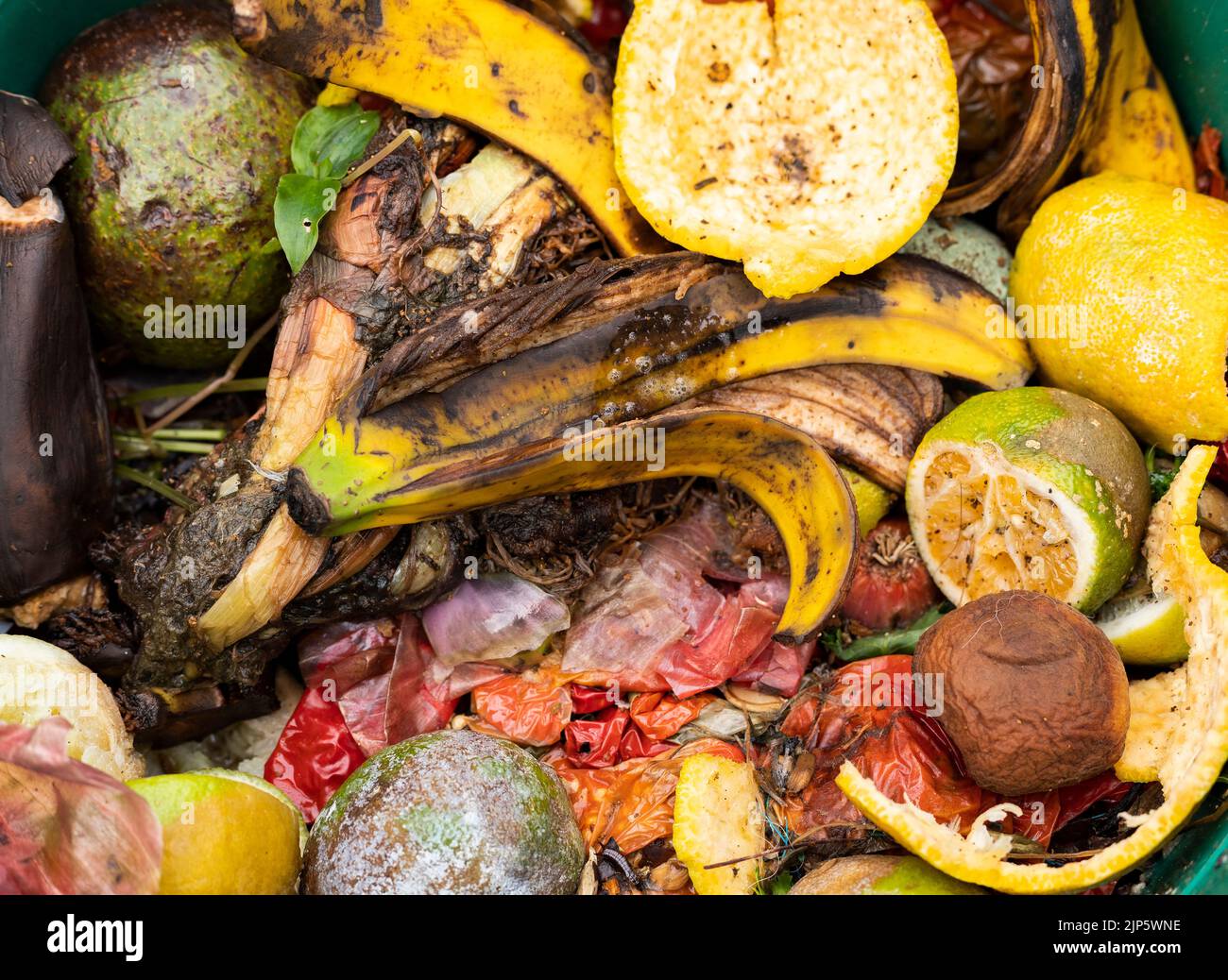 Organic waste food leftovers Fruit and vegetable peelings Stock Photo