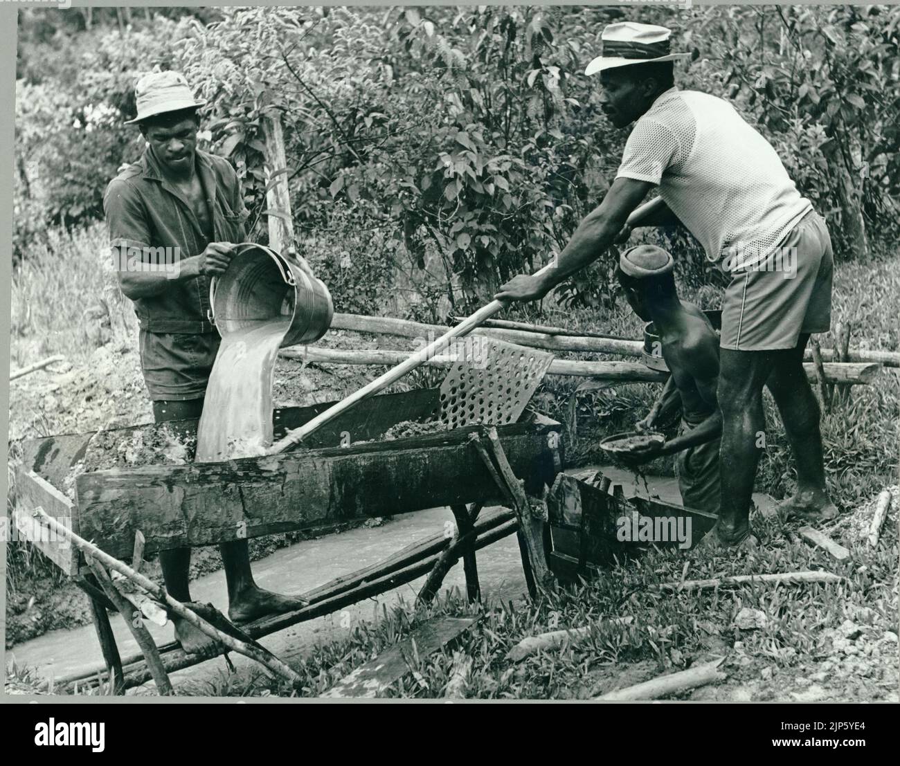 Black and white photograph of three Guyanese prospectors or porkknockers using a sluice box to