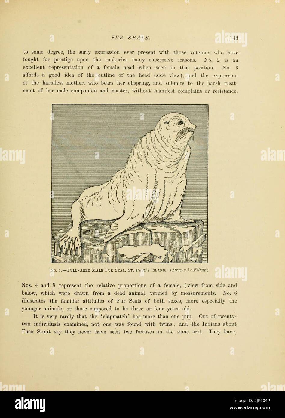 The marine mammals of the north-western coast of North America Stock ...