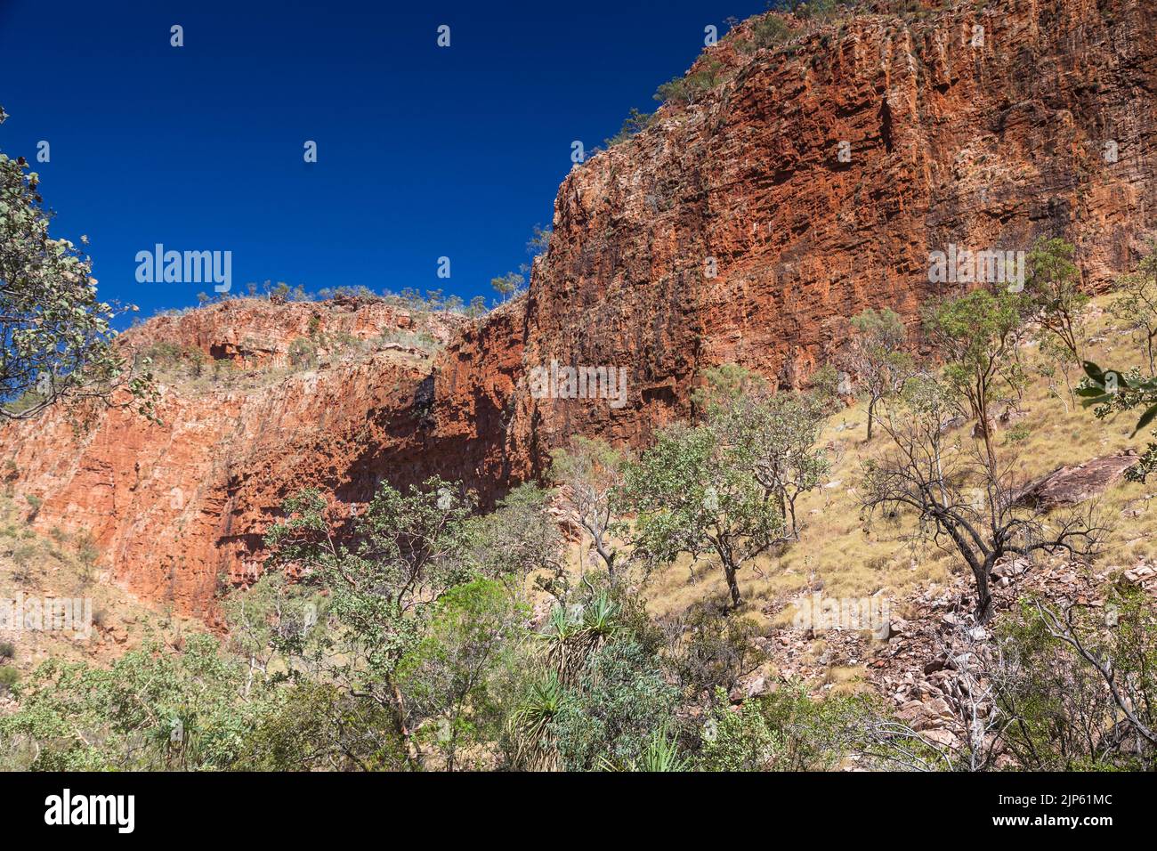 Sandstone cliffs of the Cockburn Range on the way to Emma Gorge, Gibb RIver Road,  East Kimberley Stock Photo