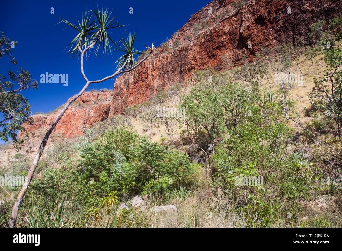 Sandstone cliffs of the Cockburn Range on the way to Emma Gibb