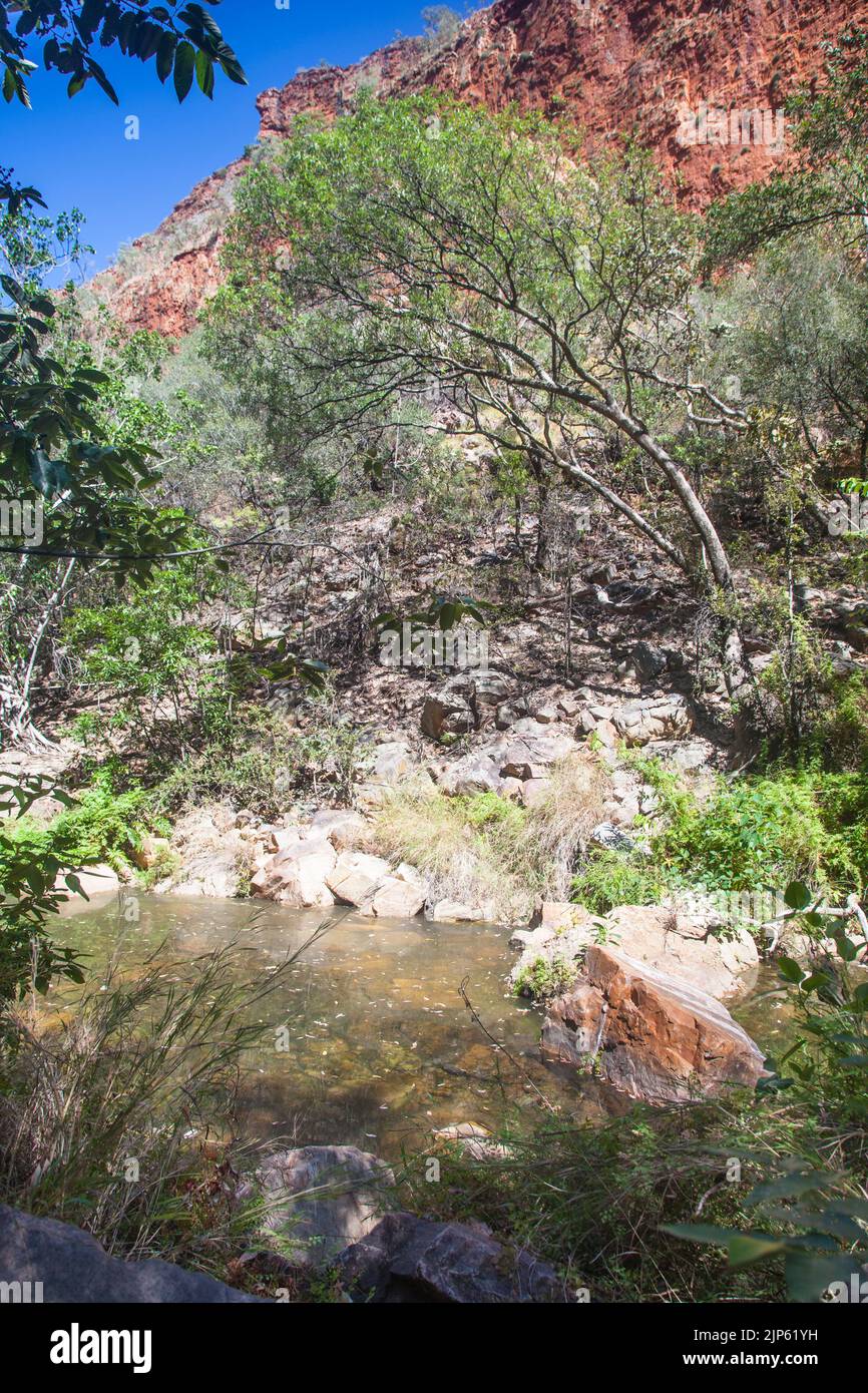 Sandstone cliffs of the Cockburn Range on the way to Emma Gibb
