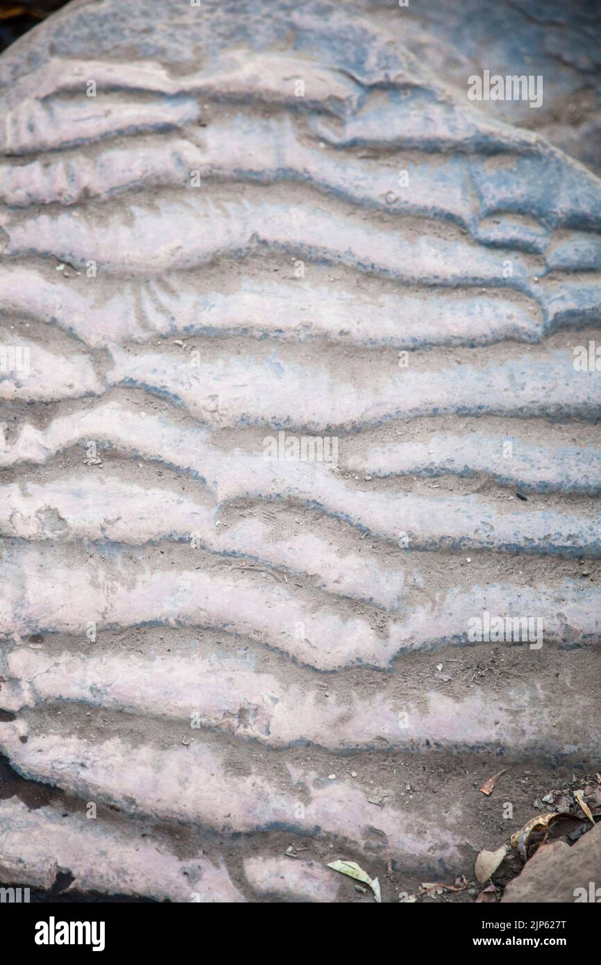 Closeup of ripple texture in sandstone, Emma Gorge, East Kimberley. Stock Photo
