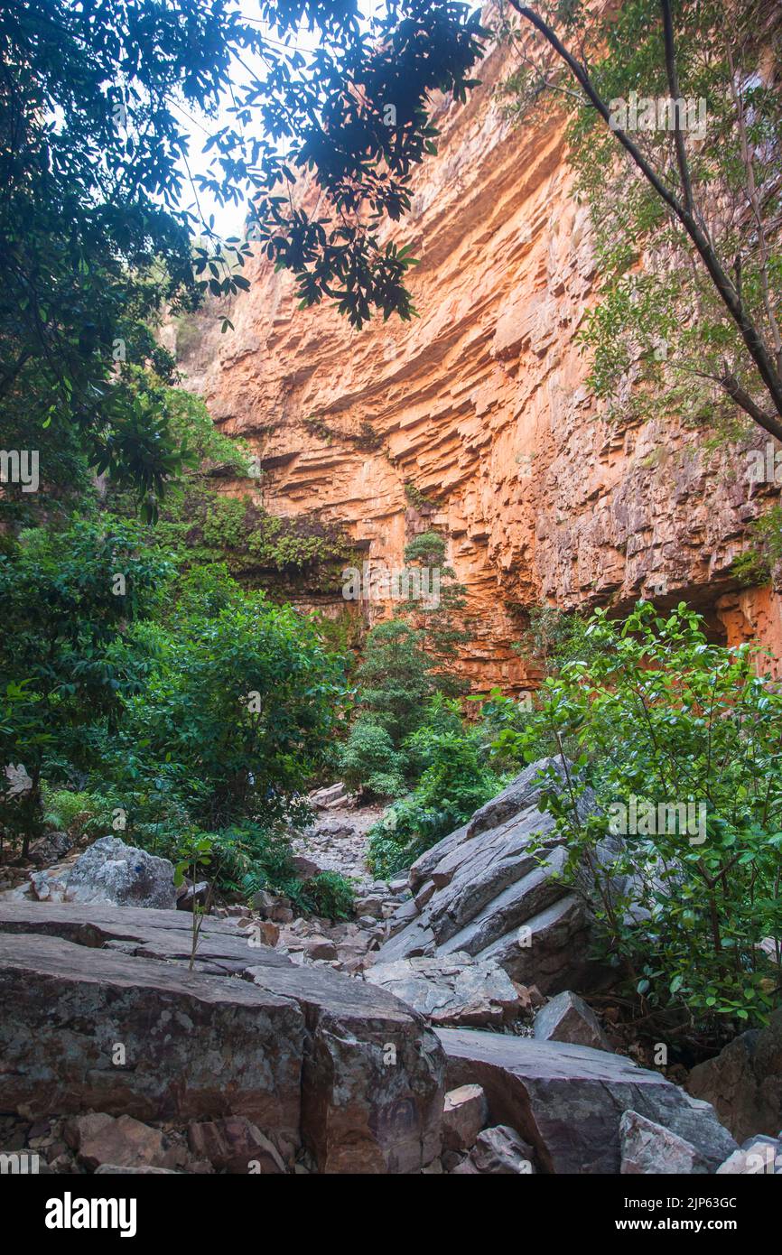 Sandstone cliffs of Emma Gibb RIver Road, East Kimberley Stock