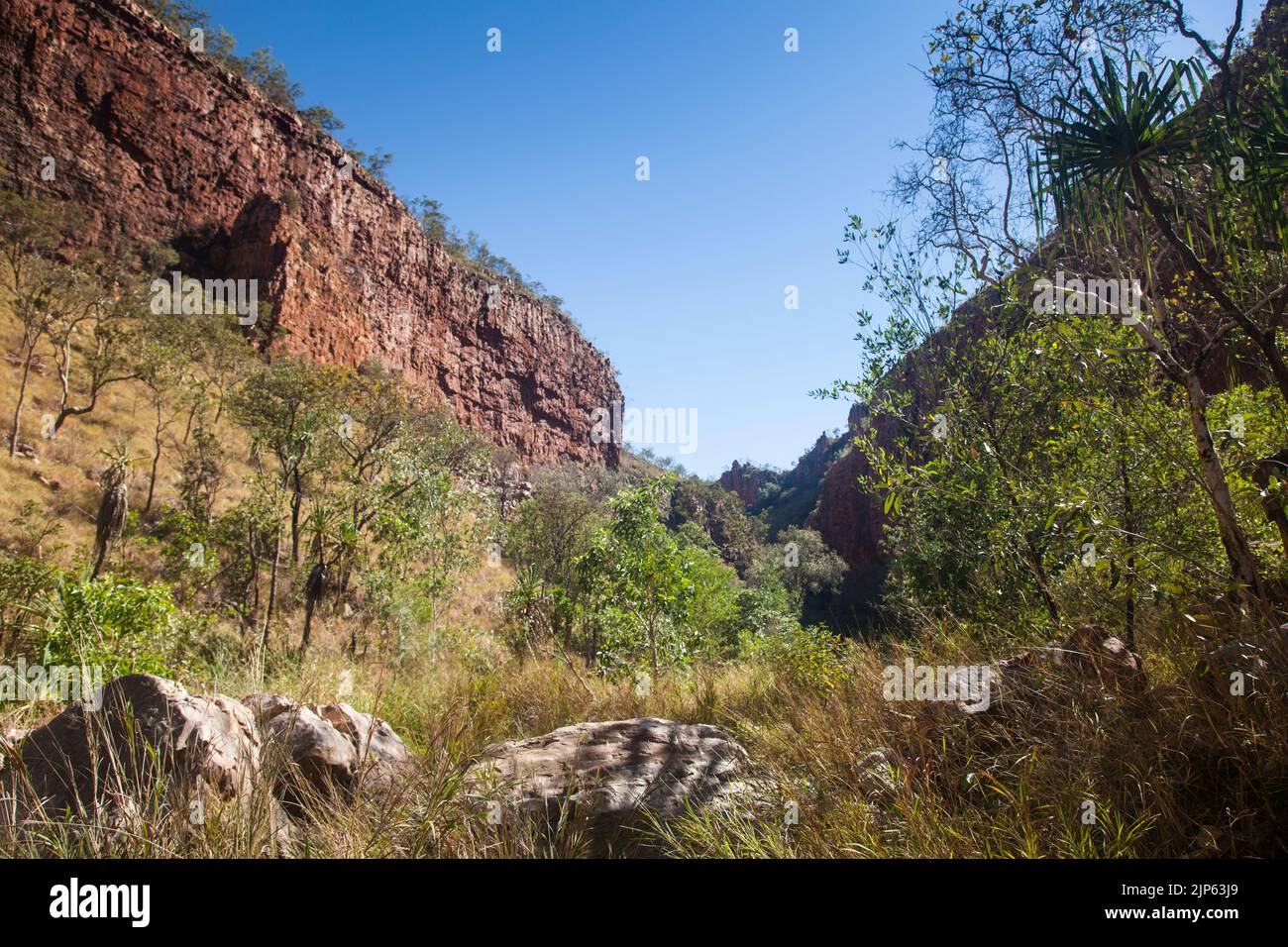 Sandstone cliffs of the Cockburn Range on the way to Emma Gorge, Gibb RIver Road,  East Kimberley Stock Photo