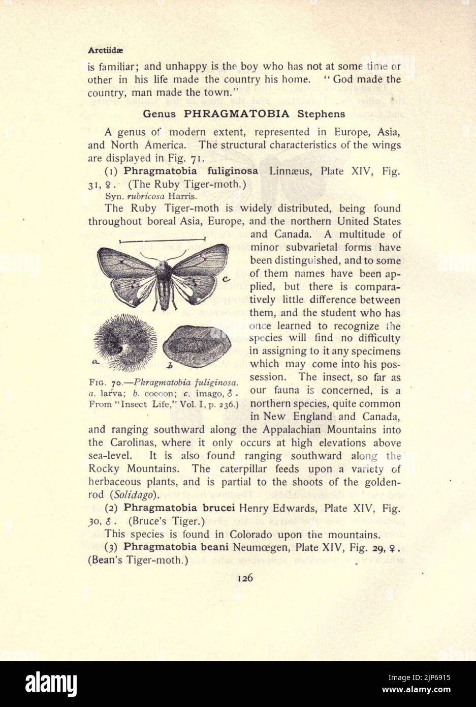 The moth book (Page 126, Fig. 70) Stock Photo
