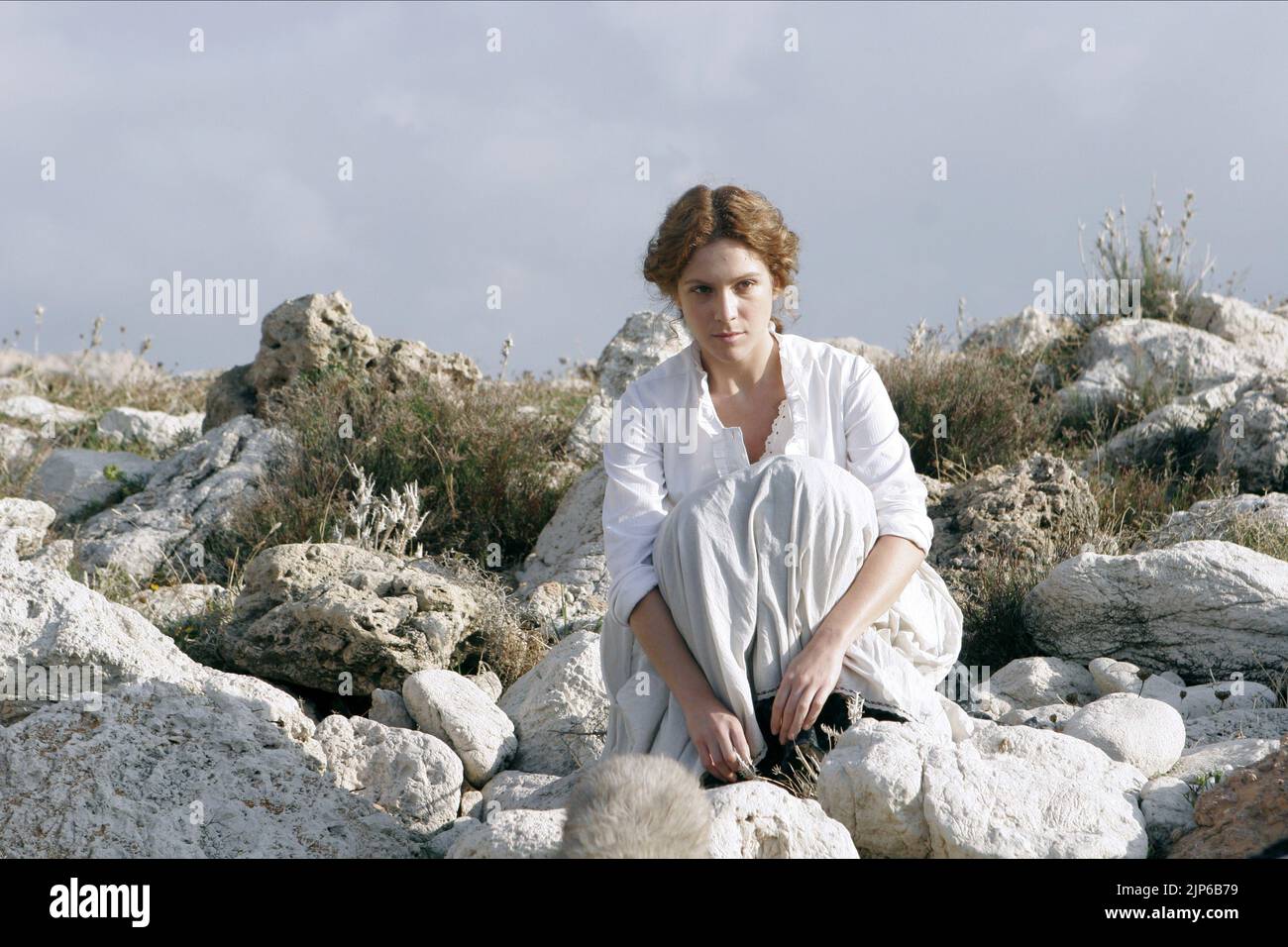 Viola di mare hires stock photography and images Alamy