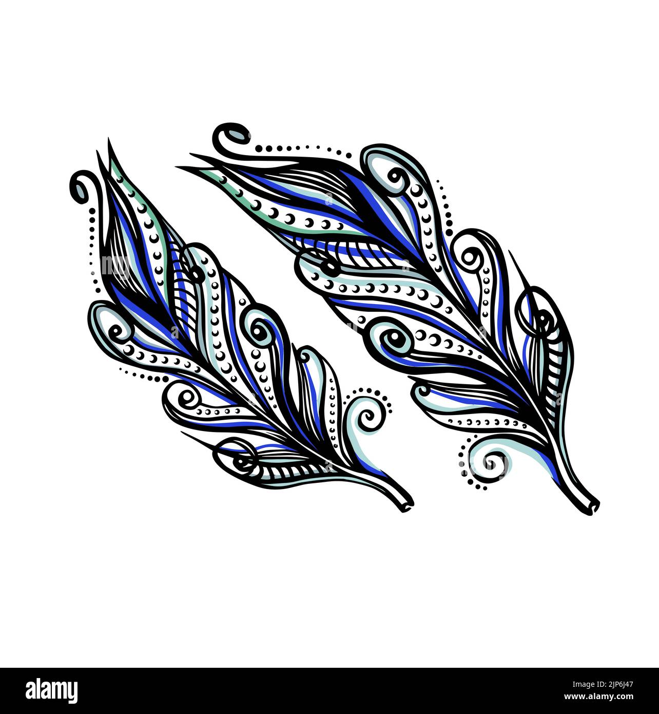 Two beautiful colored exotic feathers isolated on white background. Stock Vector