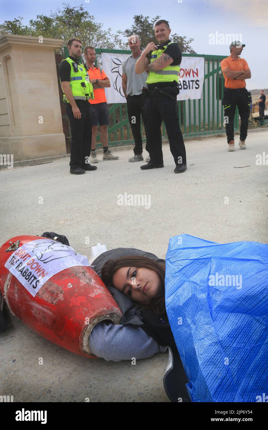 Animal rights activists use a lock-on to block the gates of Goldholme ...