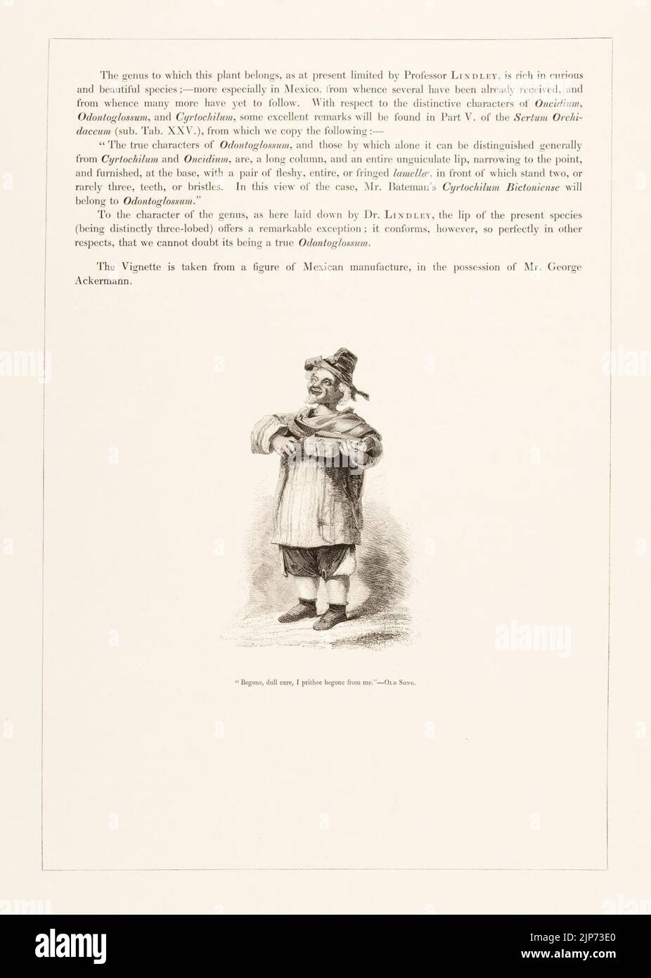 The Orchidaceae of Mexico and Guatemala Stock Photo Alamy