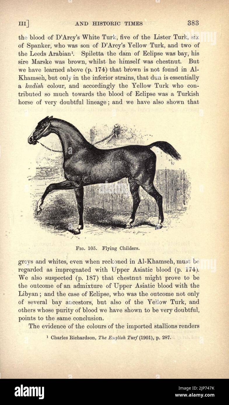 The origin and influence of the thoroughbred horse (Page 383) Stock Photo
