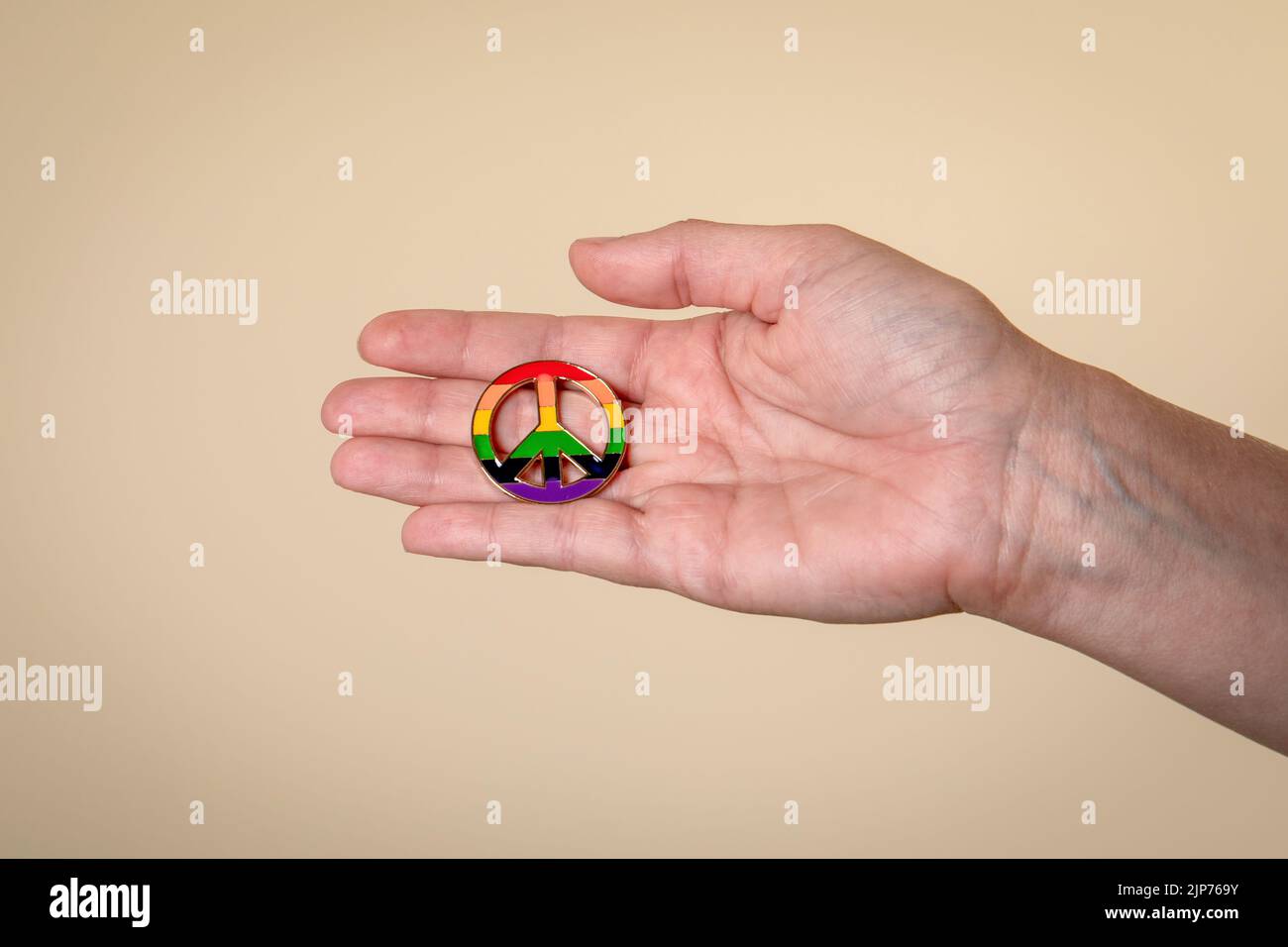 Peace sign in hands in rainbow colors. The concept of diversity and inclusion. LGBT.. Stock Photo