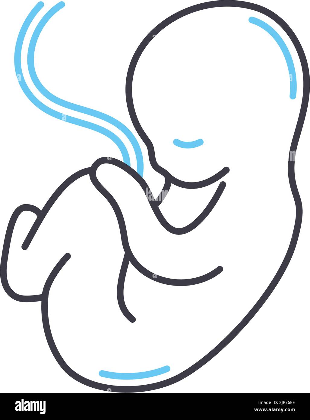 fetus line icon, outline symbol, vector illustration, concept sign ...