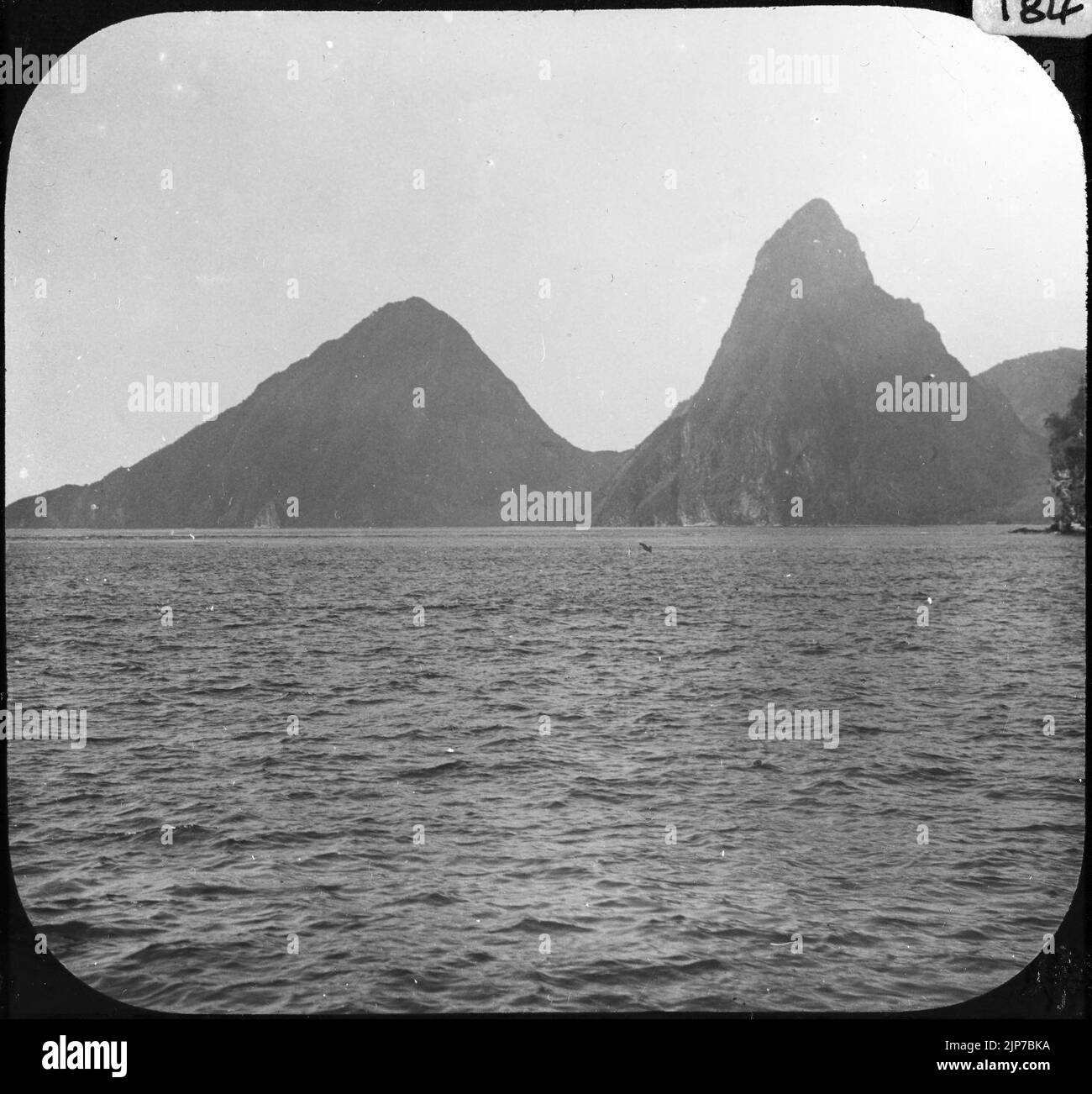 The Pitons of St Lucia YORYMTA0184 Stock Photo Alamy