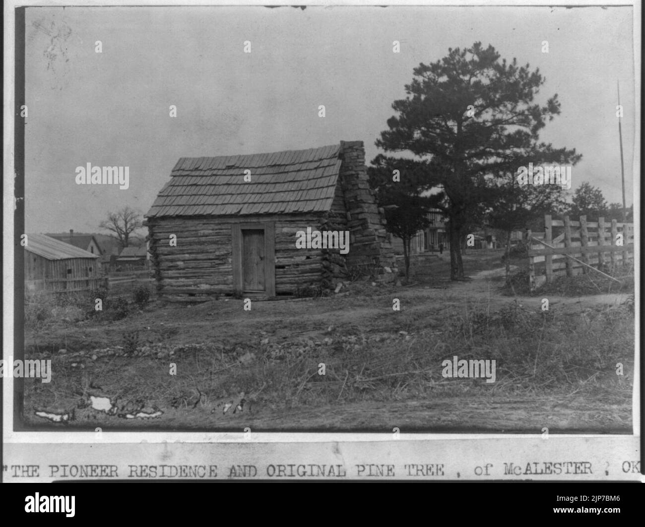 The Pioneer residence and original pine tree of McAlester, Okla., old