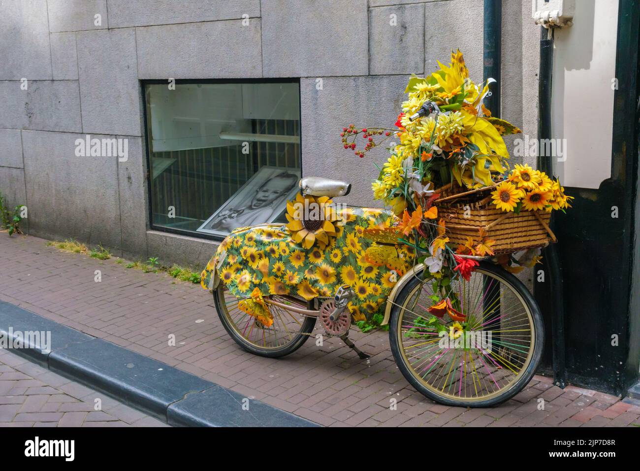 Sunflower bikes discount