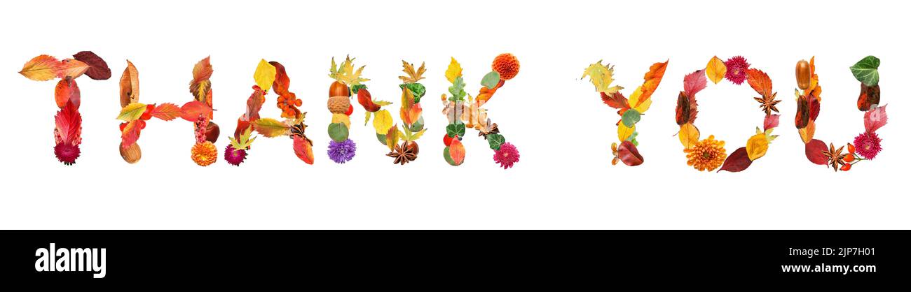 Text THANK YOU made of autumn leaves and flowers on white background ...