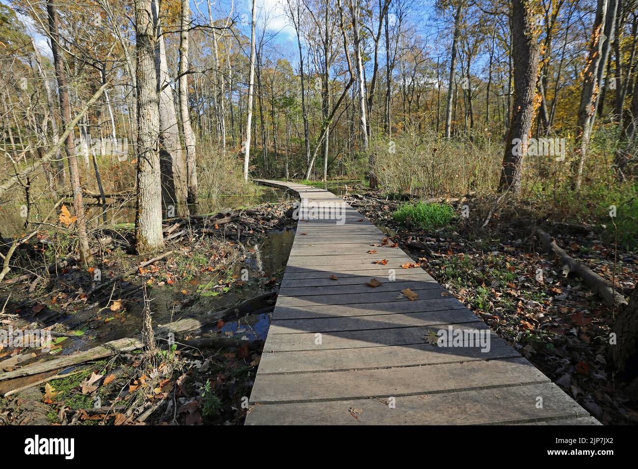 The boardwalk in Glen Helen Nature Preserve, Ohio Stock Photo