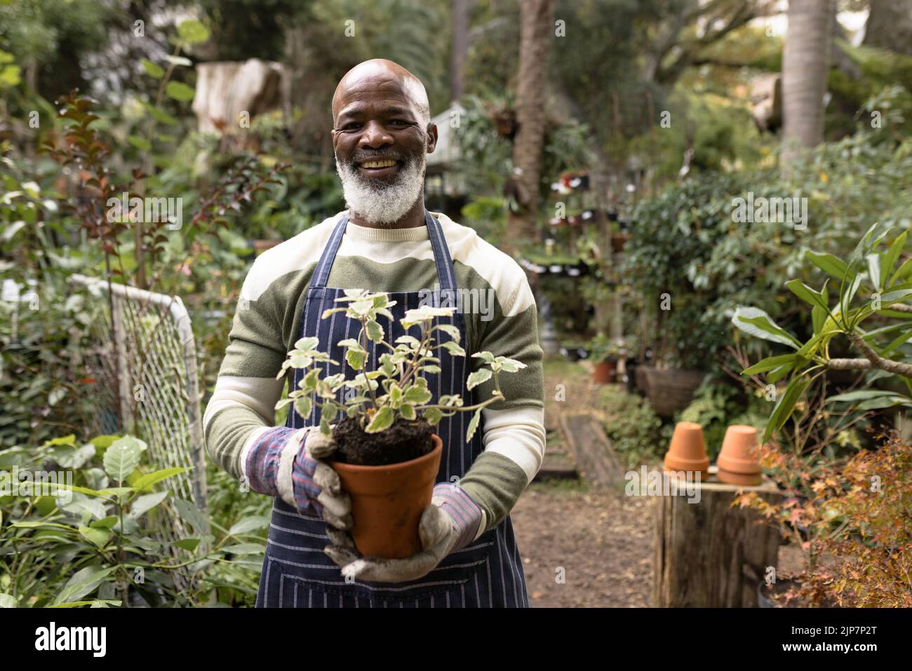 African senior portrait hi-res stock photography and images - Alamy