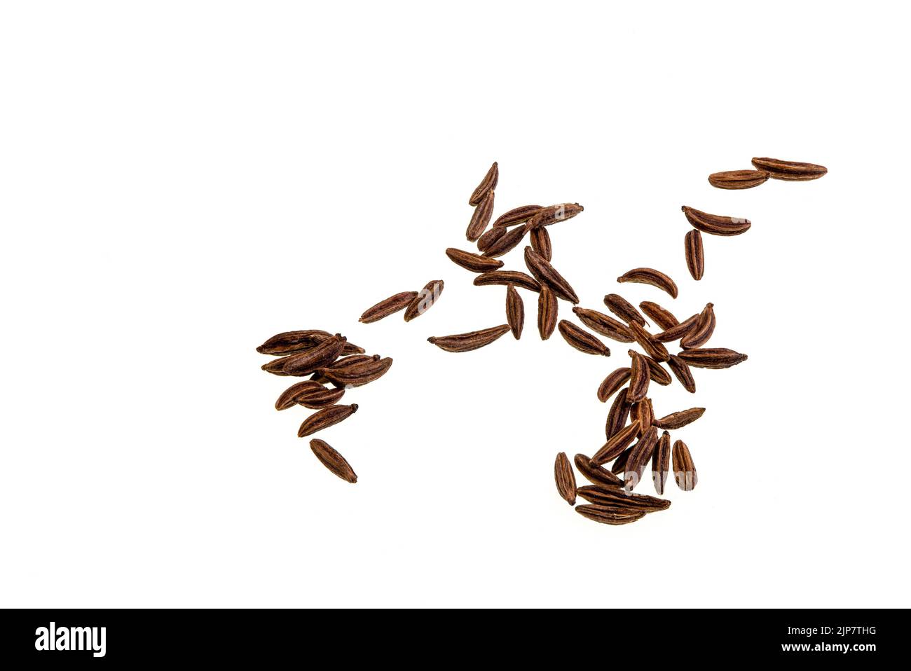 Caraway seeds are the dried fruit of the caraway plant, Carum carvi, a biennial plant in the family Apiaceae, a native of western Asia, Europe and Nor Stock Photo