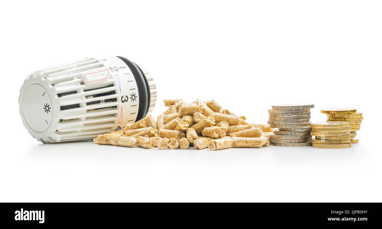 Wooden pellets, coins money and thermostatic valve head isolated on a white background. Biomass - Renewable source of heating. Stock Photo