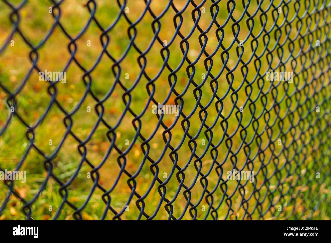 Fence with metal grid in perspective. Metal chain-link fence on a background of green grass close-up, nobody Stock Photo